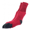 Kép Glovii GQ3M sock Red Unisex 1 pair(s)