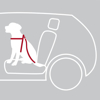 Kép TRIXIE Harnais pour voiture pour chien 50-70 cm