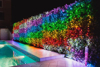 Kép TWINKLY Strings 100 (TWS100STP-BEU) Smart Christmas tree lights 100 LED RGB 8 m