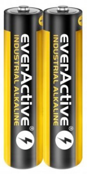 Kép Alkaline batteries everActive Industrial Alkaline LR03 AAA - carton box - 40 pieces