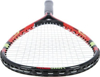 Kép NILS NRS001 badminton set 2 rackets + shuttlecocks + red case