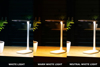 Kép Montis Lampka biurkowa wielofunkcyjna LED MT042 table lamp White (MT042)