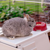 Kép FERPLAST Rabbit 140 Plus - Cage (57072570)