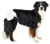 Kép TRIXIE - Nappies for Dogs - M (TX-23633)