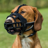Kép TRIXIE muzzle for dog - size XL - black (TX-17616)