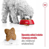 Kép Feed Royal Canin Dog Food Mini Adult (8 kg)