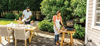 Kép Ninja OG701DE outdoor barbecue/grill Tabletop Electric Black 2400 W (OG701DE)